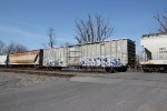 CMHX 71290